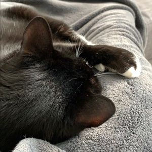 Meet your Posher, Rhonda